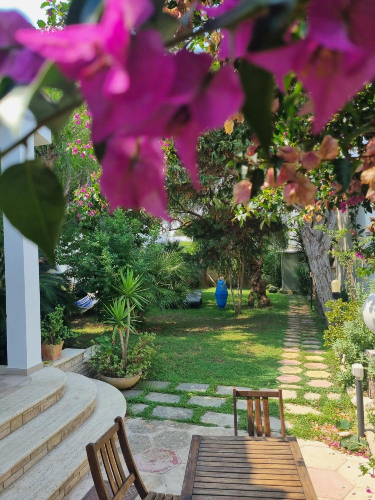 Villa Ada Casa Vacanze 托雷斯佩基亚鲁杰里 外观 照片